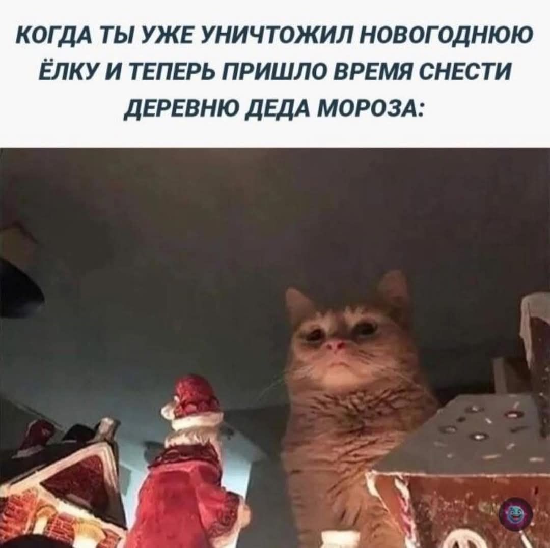 КОГДА ТЫ УЖЕ УНИЧТОЖИЛ НОВОГОДНЮЮ ЁЛКУ И ТЕПЕРЬ ПРИШЛО ВРЕМЯ СНЕСТИ ДЕРЕВНУ ДЕДА МОРОЗА: