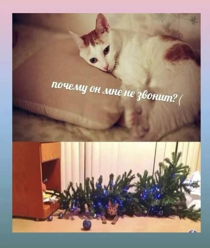 почему он мне не звонит?
