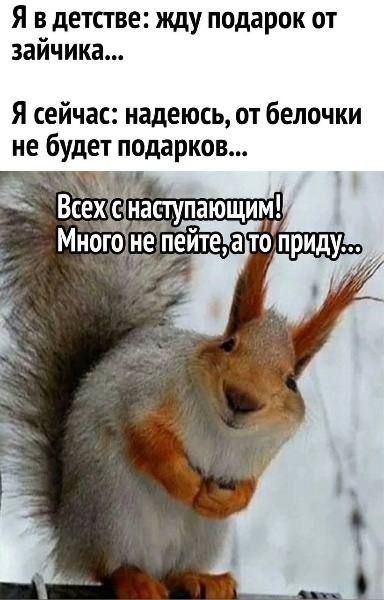 Я в детстве: жду подарок от зайчика...
Я сейчас: надеюсь, от белочки не будет подарков...
Всех с наступающим! Много не пейте, а то приду...
