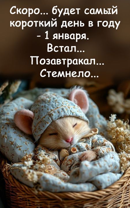 Скоро... будет самый короткий день в году - 1 января. Встал... Позавтракал... Стемнело...