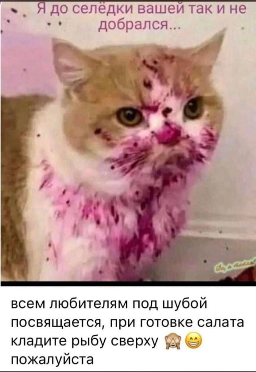 Я до селёдки вашей так и не добрался... всем любителям под шубой посвящается, при готовке салата кладите рыбу сверху пожалуйста