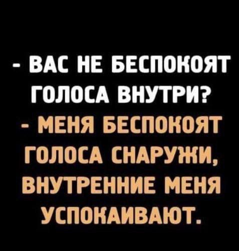 - Вас не беспокоят голоса внутри? - Меня беспокоят голоса снаружи, внешние меня успокаивают.