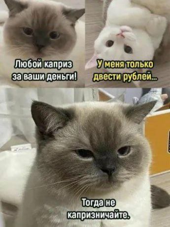 Любой каприз за ваши деньги! У меня только двести рублей... Тогда не капризничайте.