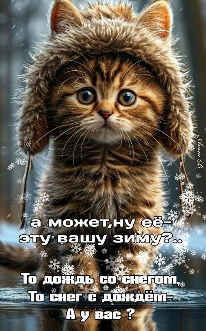 а может,ну её — эту вашу зиму?.. То дождь со снегом, То снег с дождём — А у вас?