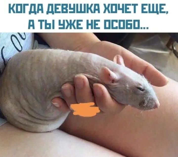 КОГДА ДЕВУШКА ХОЧЕТ ЕЩЕ, А ТЫ УЖЕ НЕ ОСОБО...