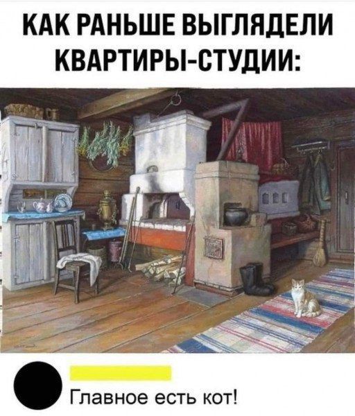 Как раньше выглядели квартиры-студии:\nГлавное есть кот!