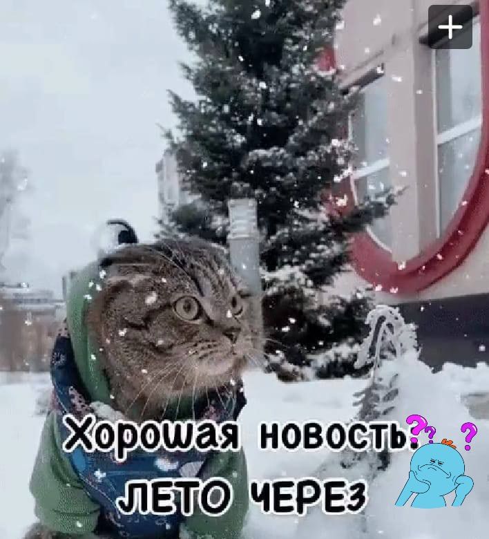 Хорошая новость ЛЕТО ЧЕРЕЗ ?