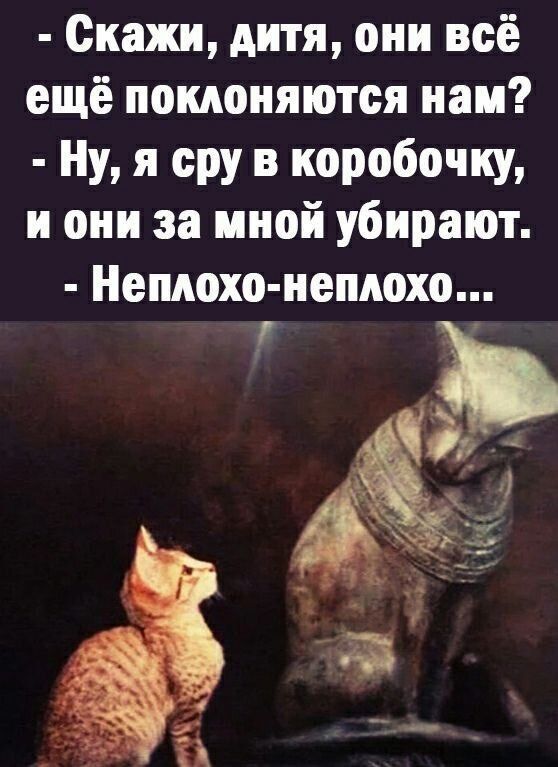 - Скажи, дитя, они всё ещё поклоняются нам? - Ну, я сру в коробочку, и они за мной убирают. - Неплохо-неплохо...