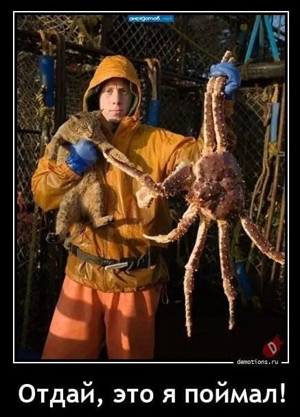 Отдай, это я поймал!