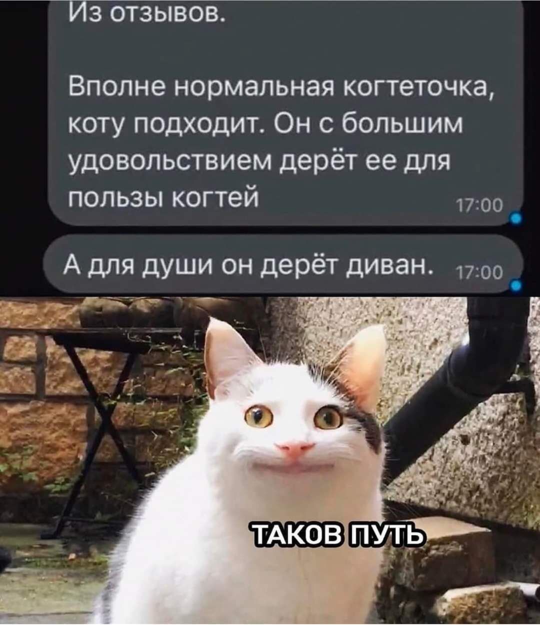 Из отзывов. Вполне нормальная когтеточка, коту подходит. Он с большим удовольствием дерёт её для пользЫ когтей. А для души он дерёт диван.