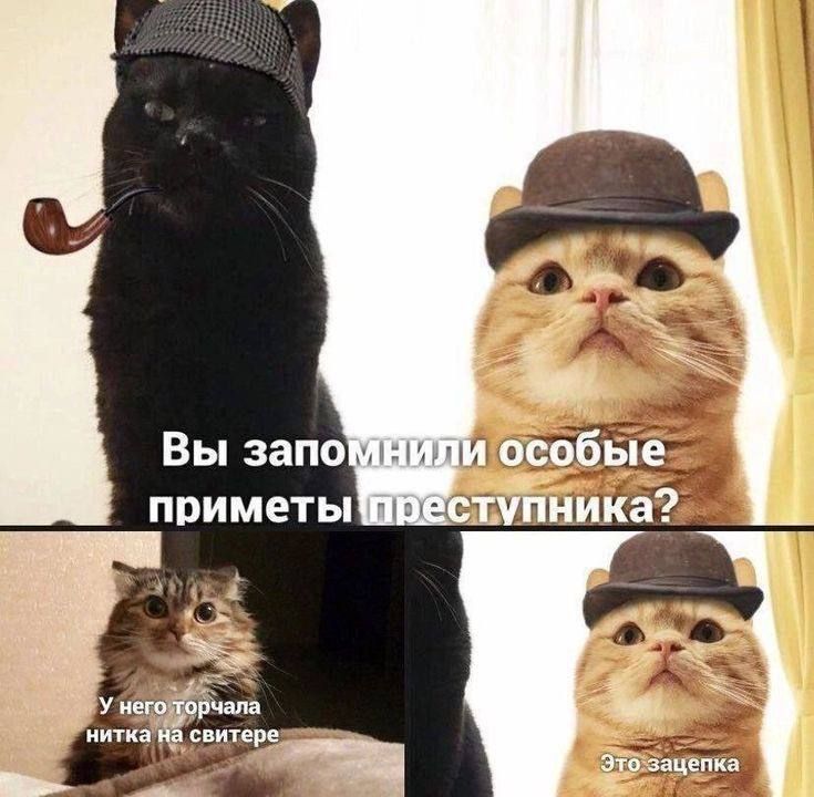 Вы запомнили особые приметы преступника? У него торчала нитка на свитере Это зацепка