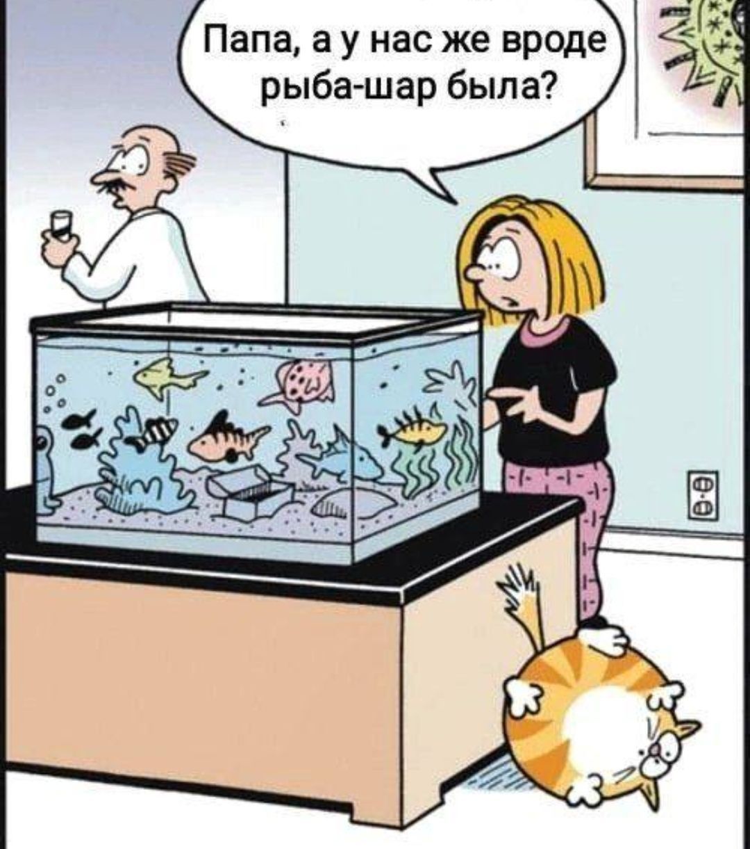 Папа, а у нас же вроде рыба-шар была?