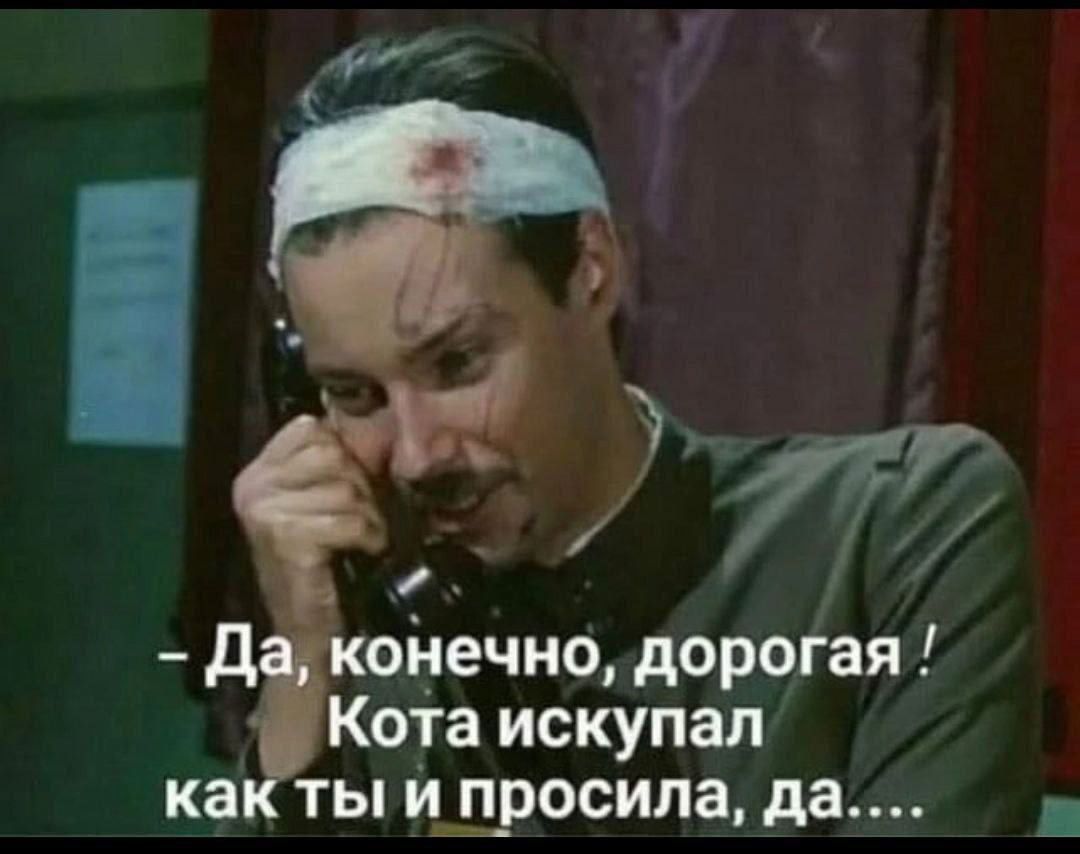 - Да, конечно, дорогая ! Кота искупал как ты и просила, да....