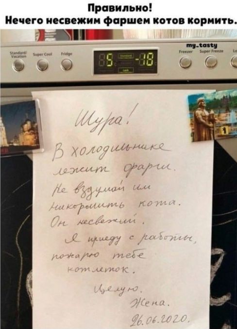 Правильно! Нечего несвежим фаршем котов кормить. Шура! В холодильнике лежит фарш. Не возмущайся и никого кота. Он несвежий. Я приду с работы, покормлю тебе котёнок. Жена. 26.06.2020.