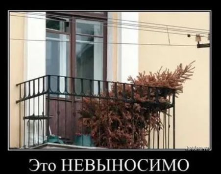 Это НЕВЫНОСИМО