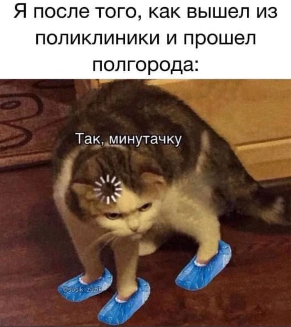 Я после того, как вышел из поликлиники и прошел полгода:
Так, минутчку