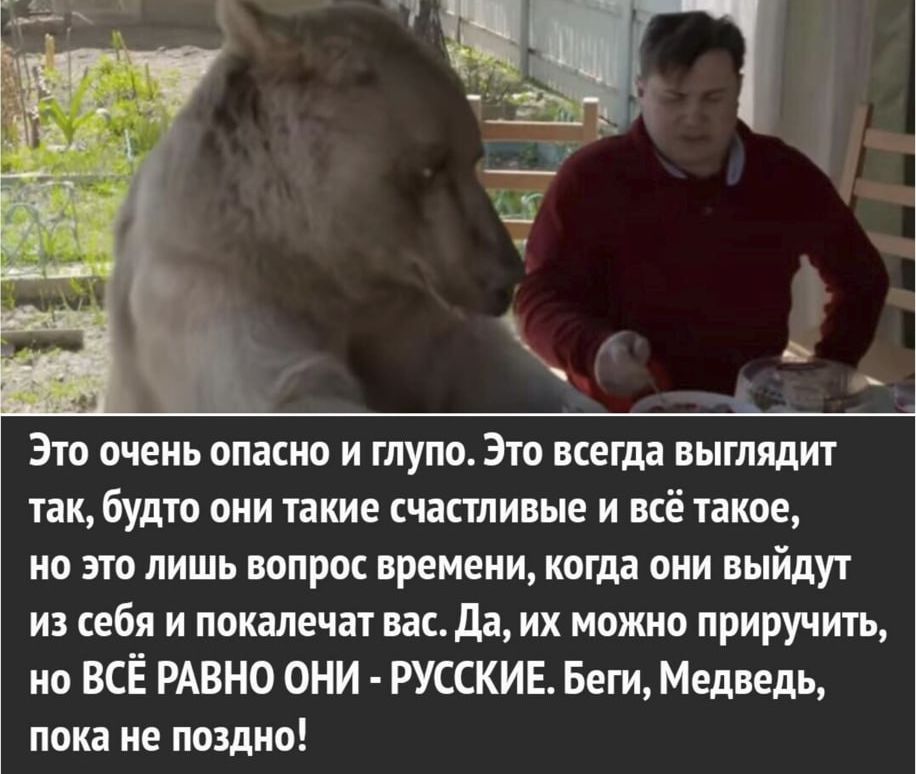 Это очень опасно и глупо. Это всегда выглядит так, будто они такие счастливые и всё такое, но это лишь вопрос времени, когда они выйдут из себя и покалечат вас. Да, их можно приручить, но ВСЁ РАВНО ОНИ - РУССКИЕ. Беги, Медведь, пока не поздно!