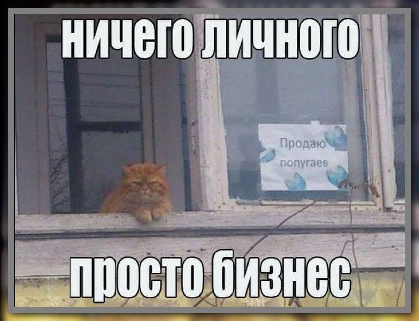 ничего личного просто бизнес