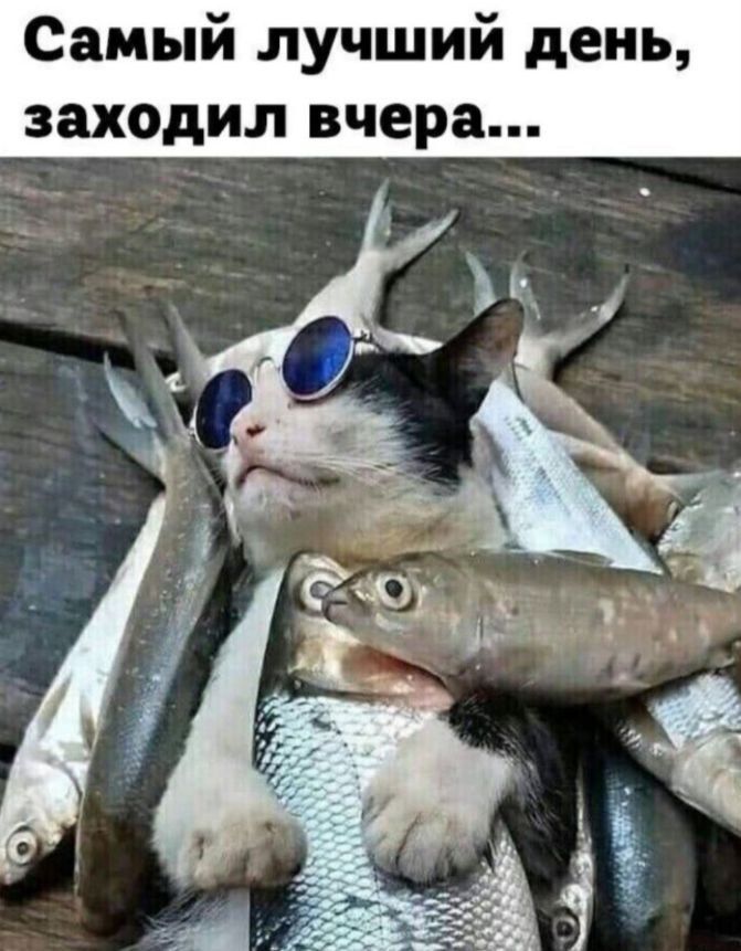 Самый лучший день, заходил вчера...