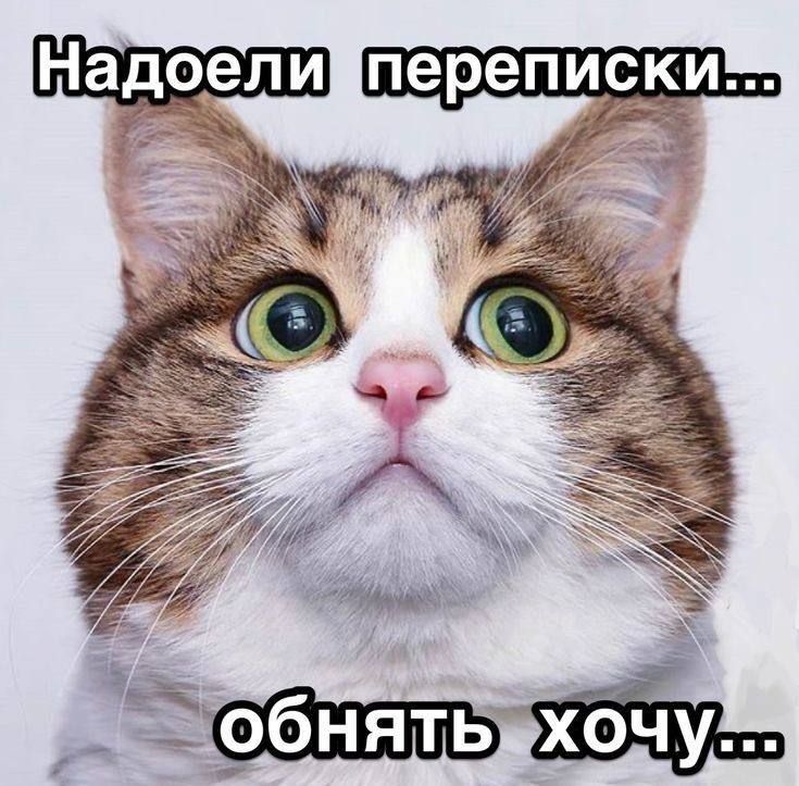 Надоели переписки... обнять хочу...