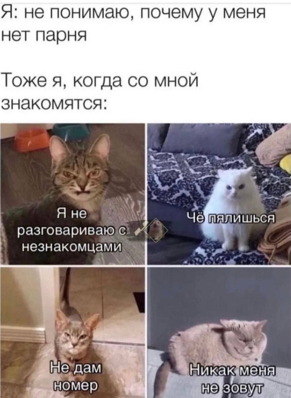 Я: не понимаю, почему у меня нет парня. Тоже я, когда со мной знакомятся: Я не разговариваю с незнакомцами. Чё палишься. Не дам номер. Никак меня не зовут