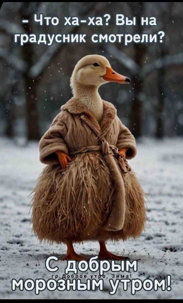 - Что ха-ха? Вы на градусник смотрели?\nС добрым морозным утром!