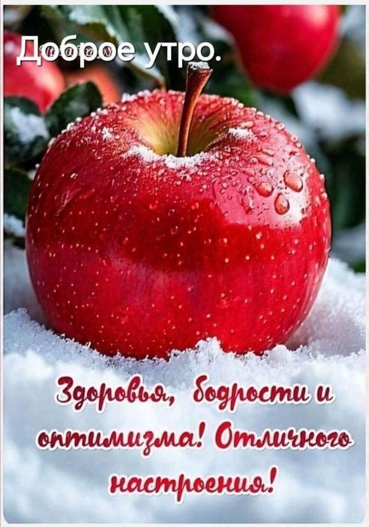 Доброе утро. Здоровья, бодрости и оптимизма! Отличного настроения!