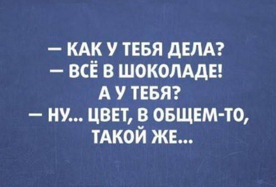 — Как у тебя дела? — Всё в шоколаде! А у тебя? — Ну... Цвет, в общем-то, такой же...