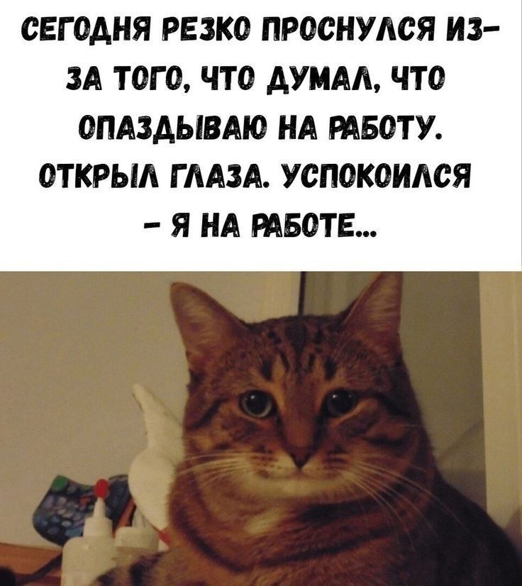 СЕГОДНЯ РЕЗКО ПРОСНУЛСЯ ИЗ-ЗА ТОГО, ЧТО ДУМАЛ, ЧТО ОПАЗДЫВАЮ НА РАБОТУ. ОТКРЫЛ ГЛАЗА. УСПОКОИЛСЯ — Я НА РАБОТЕ...