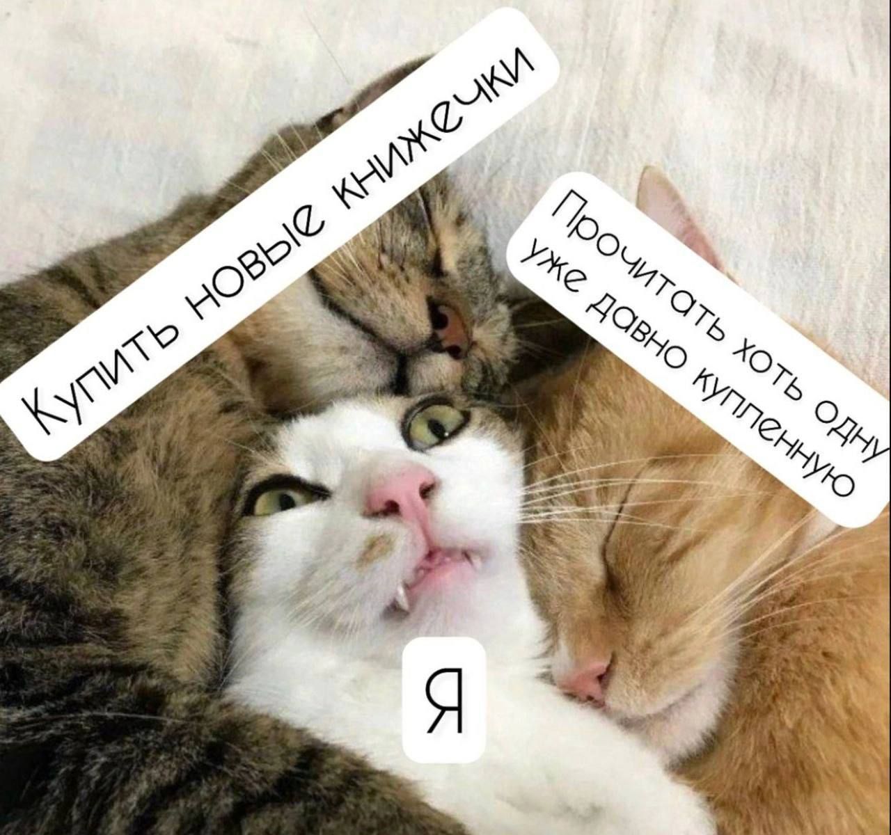 Купить новые книжки Прочитать хотя бы одну уже давно купленную Я