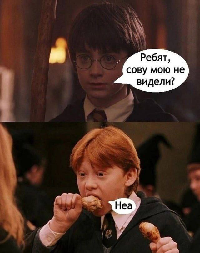 Ребят, сову мою не видели?
Неа