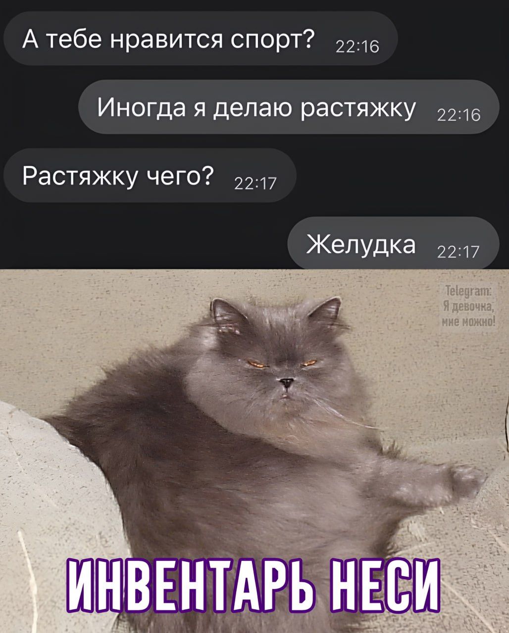 А тебе нравится спорт? Иногда я делаю растяжку. Растяжку чего? Желудка
