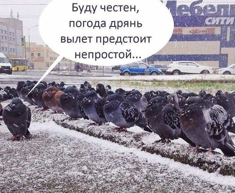 Буду честен, погода дрянь вылет предстоит непростой...