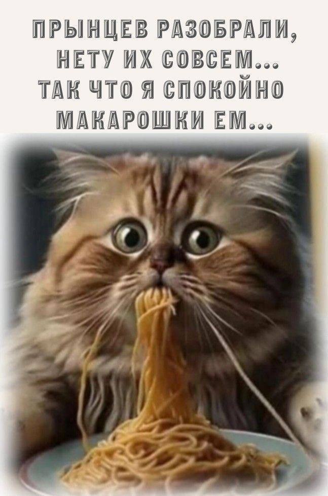 ПРЫЩЕВ РАЗОБРАЛИ, НЕТУ ИХ СОВСЕМ... ТАК ЧТО Я СПОКОЙНО МАКАРОШКИ ЕМ...