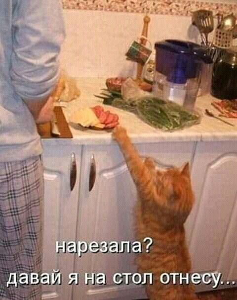 нарезала? давай я на стол отнесу...