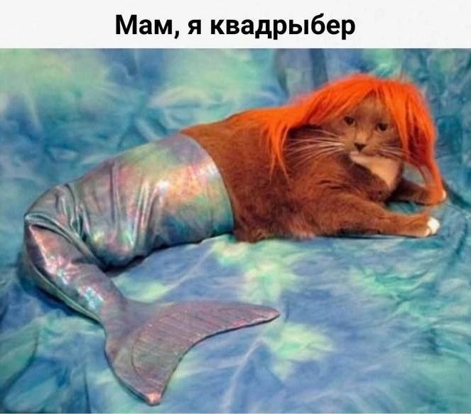 Мам, я квадрыбер