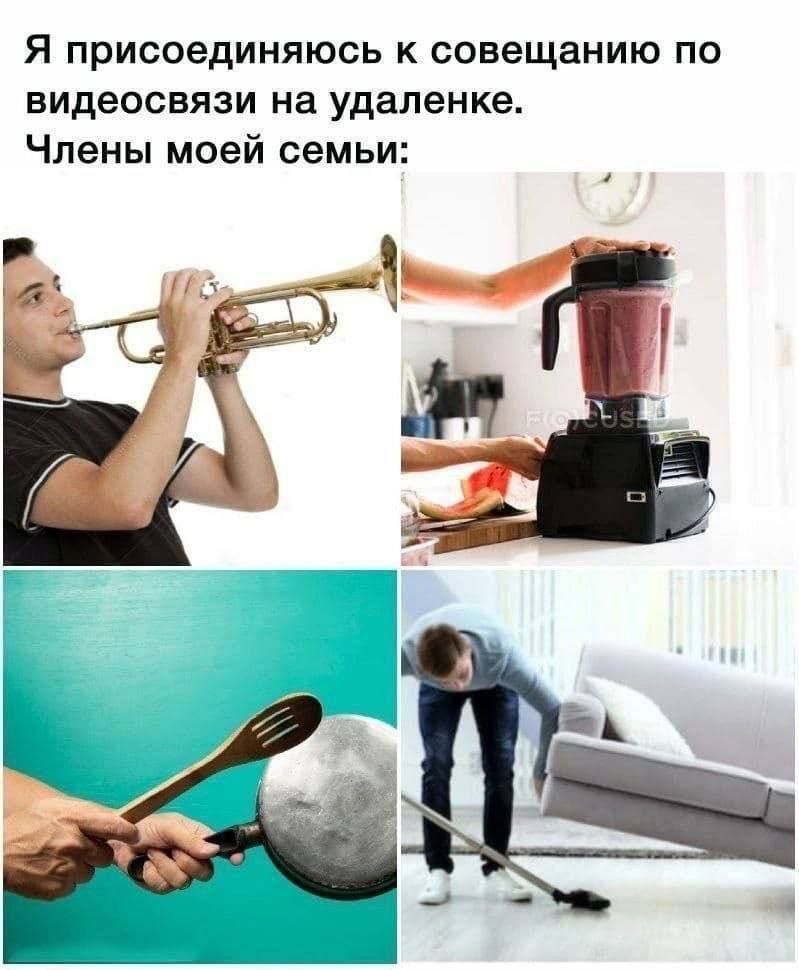 Я присоединяюсь к совещанию по видеосвязи на удалёнке. Члены моей семьи: