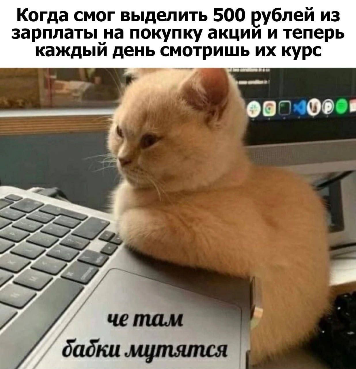 Когда смог выделить 500 рублей из зарплаты на покупку акций и теперь каждый день смотришь их курс 
че там бабки мутятся