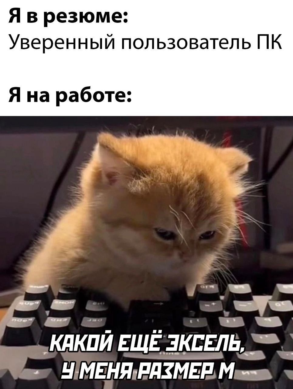 Я в резюме: Уверенный пользователь ПК Я на работе: КАКОЙ ЕЩЁ ЭКСЕЛЬ, У МЕНЯ РАЗМЕР М