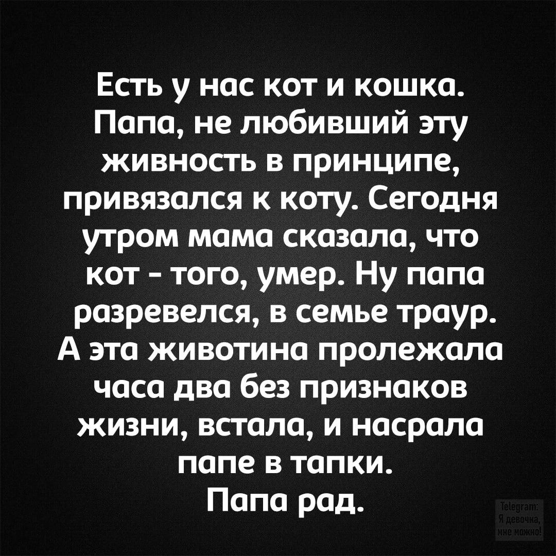 Есть у нас кот и кошка.
Папа, не любивший эту
живность в принципе,
привязался к коту. Сегодня
утром мама сказала, что
кот - того, умер. Ну папа
разревелся, в семье траур.
А эта животина пролежала
часа два без признаков
жизни, встала, и насрала
папе в тапки.
Папа рад.
