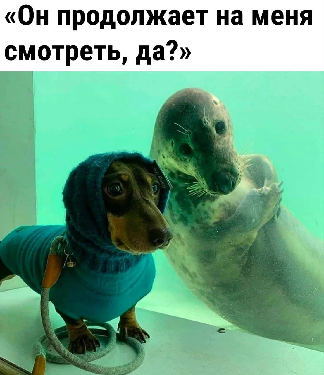 «Он продолжает на меня смотреть, да?»