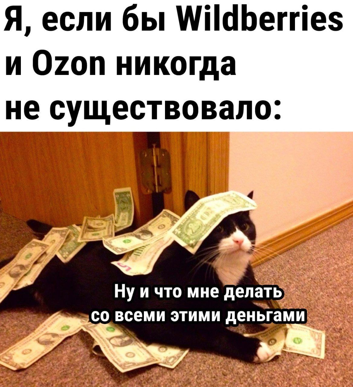 Я, если бы Wildberries и Ozon никогда не существовало:\nНу и что мне делать со всеми этими деньгами
