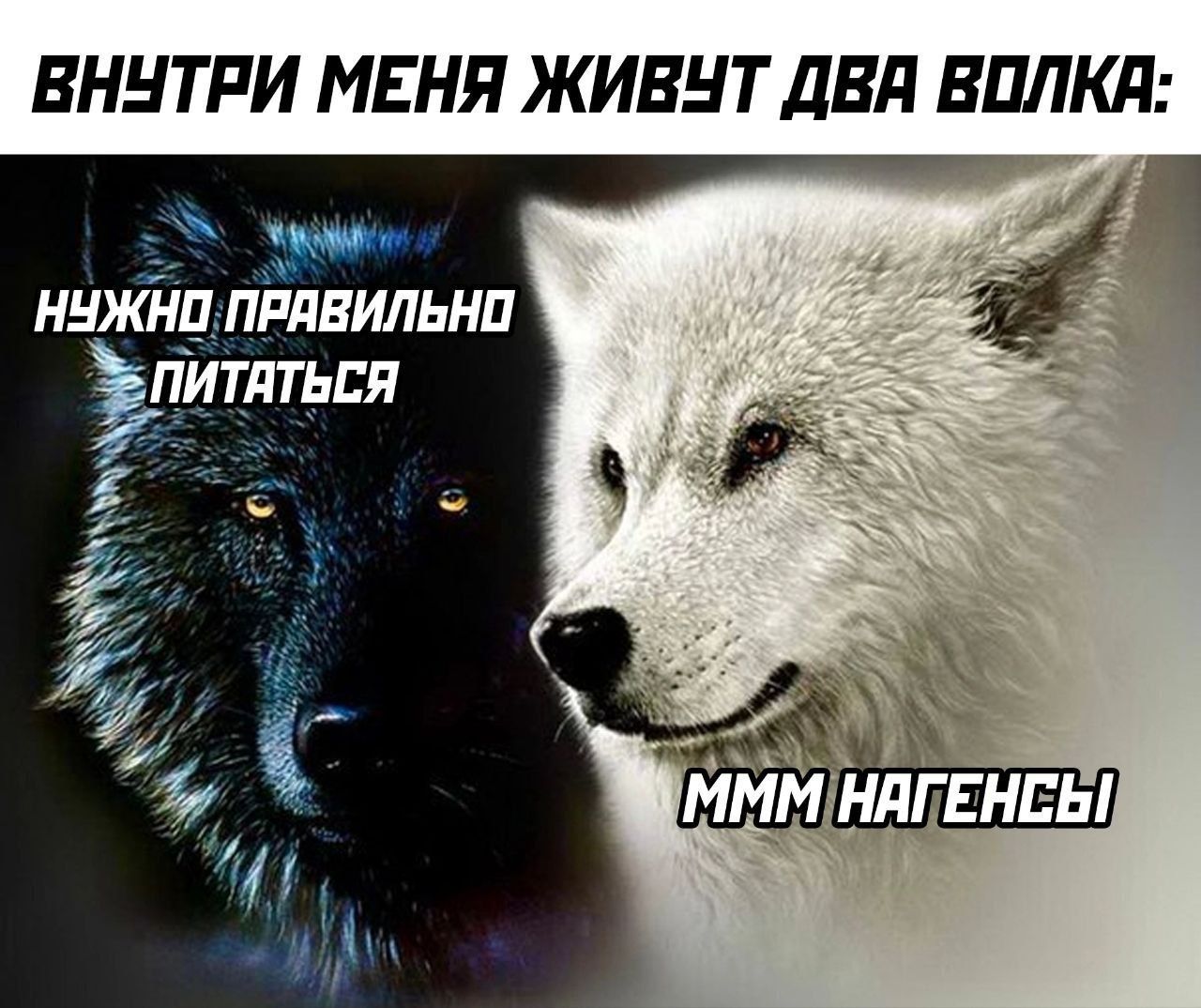 ВНУТРИ МЕНЯ ЖИВУТ ДВА ВОЛКА: НУЖНО ПРАВИЛЬНО ПИТАТЬСЯ МММ НАГЕНЬСЫ