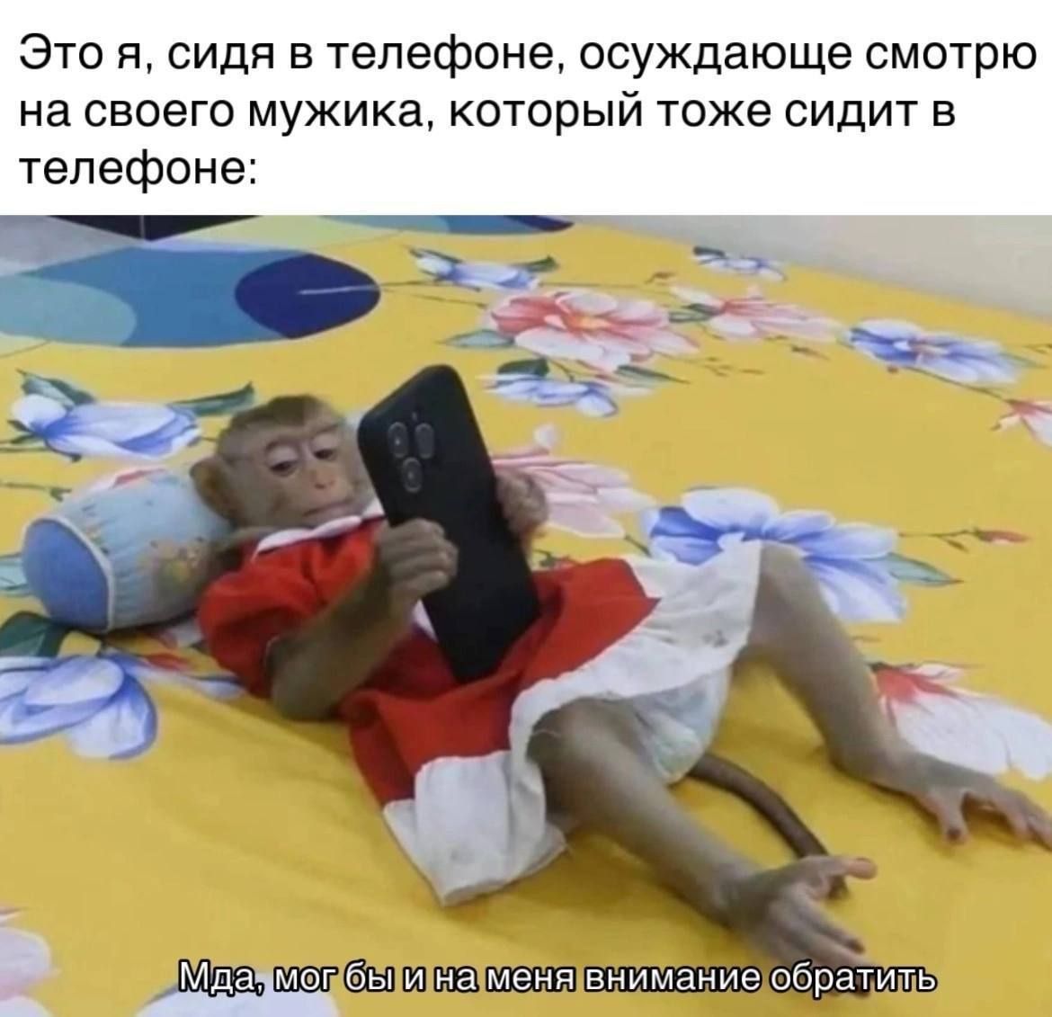 Это я, сидя в телефоне, осуждаю смотрю на своего мужика, который тоже сидит в телефоне:
Мда, мог бы и на меня внимания обратить