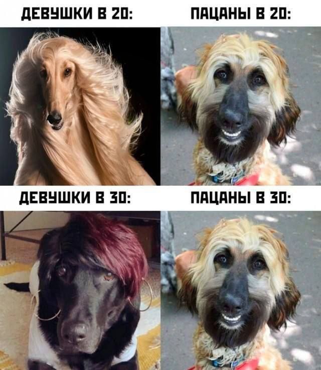 ДЕВУШКИ В 20:\nПАЦАНЫ В 20:\nДЕВУШКИ В 30:\nПАЦАНЫ В 30: