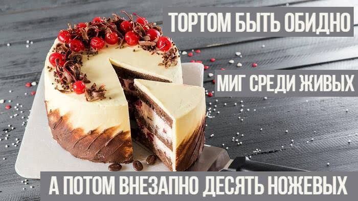 ТОРТОМ БЫТЬ ОБИДНО МИГ СРЕДИ ЖИВЫХ А ПОТОМ ВНЕЗАПНО ДЕСЯТЬ НОЖЕВЫХ