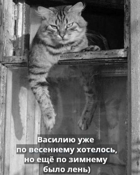 Василию уже по весеннему хотелось, Но ещё по зимнему было лень)