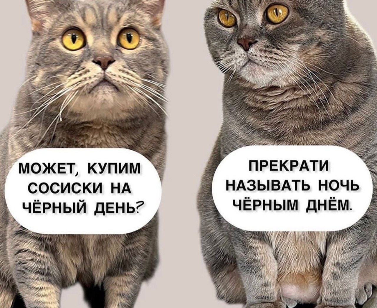 Может, купим сосиски на чёрный день? Прекрати называть ночь чёрным днём.