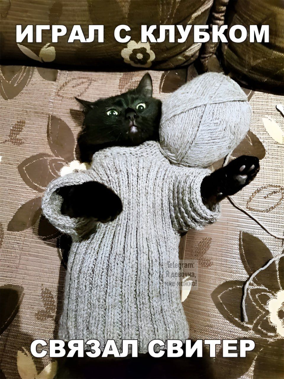 ИГРАЛ С КЛУБКОМ СВЯЗАЛ СВИТЕР