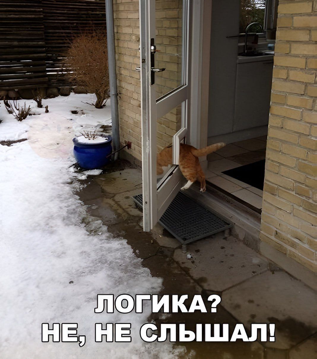 логика? НЕ, НЕ СЛЫШАЛ!